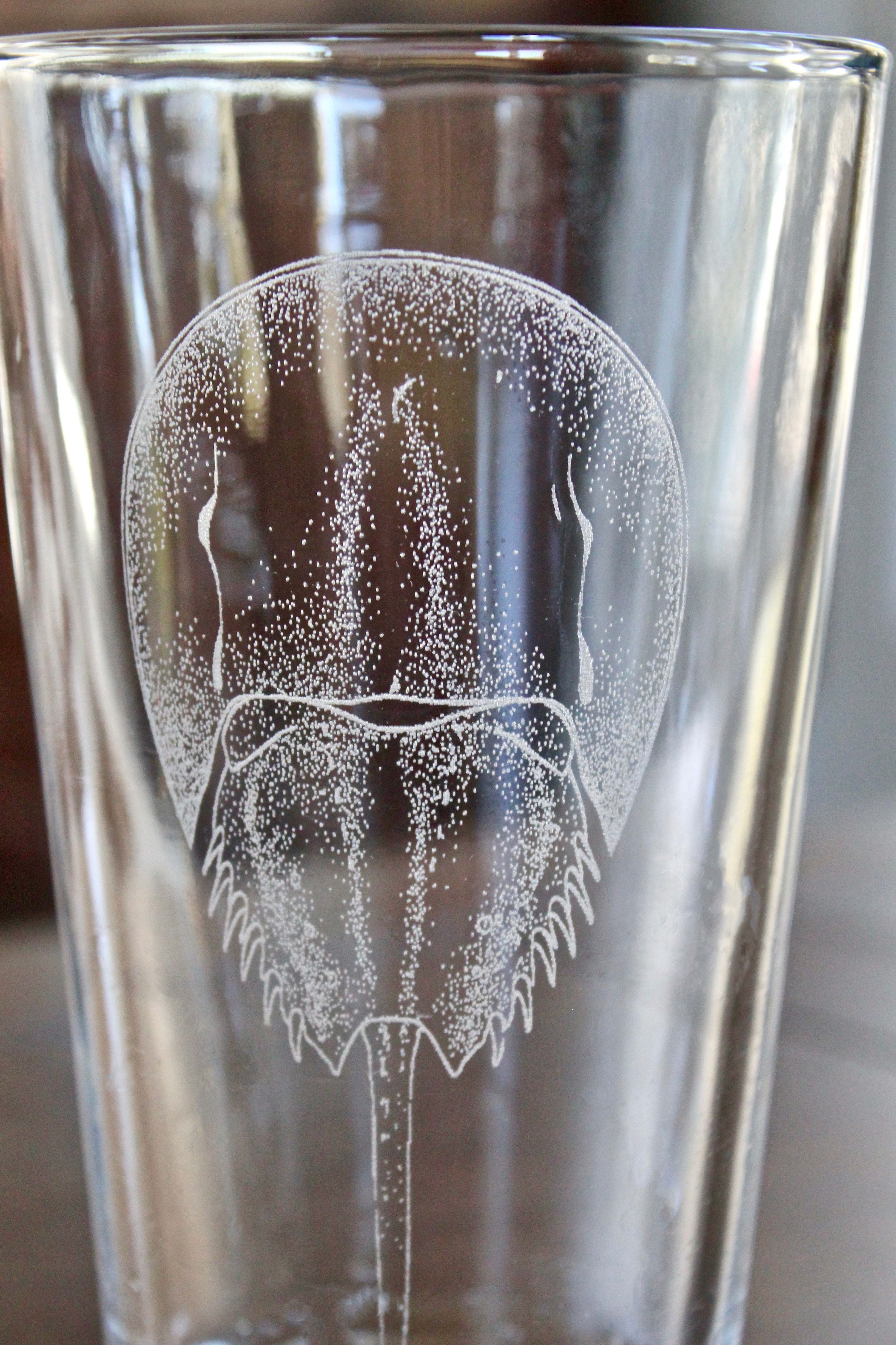Horseshoe Crab Engraved Glasses